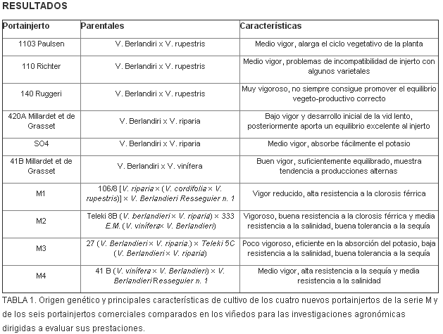 Foto asociada
